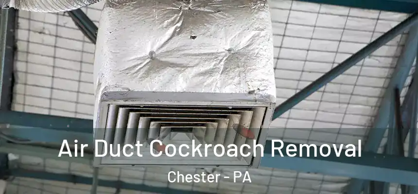 Air Duct Cockroach Removal Chester - PA