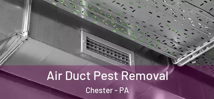 Air Duct Pest Removal Chester - PA