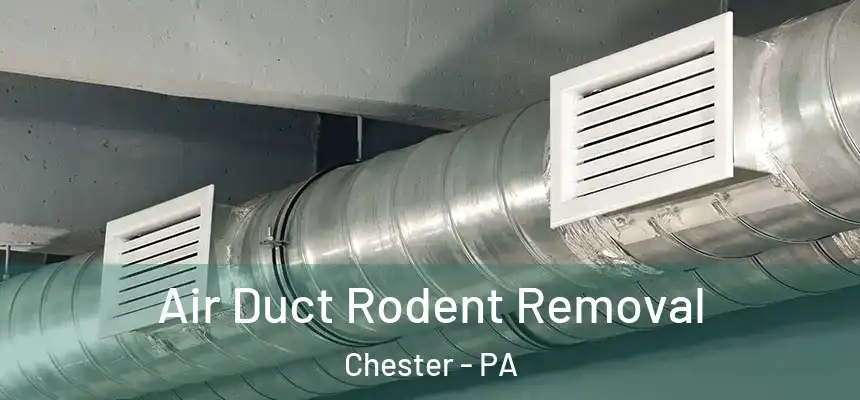  Air Duct Rodent Removal Chester - PA