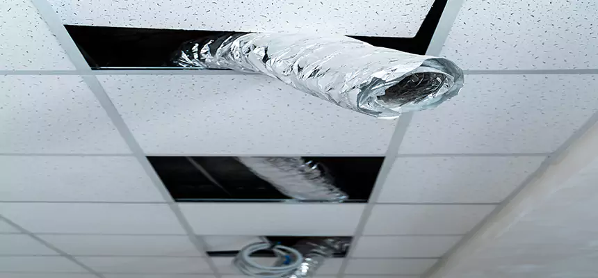 Our Air Duct Pet Hair Removal Services in Chester, PA