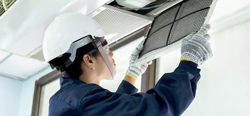 Our Mold & Mildew Removal from Air Ducts Services in Chester, PA