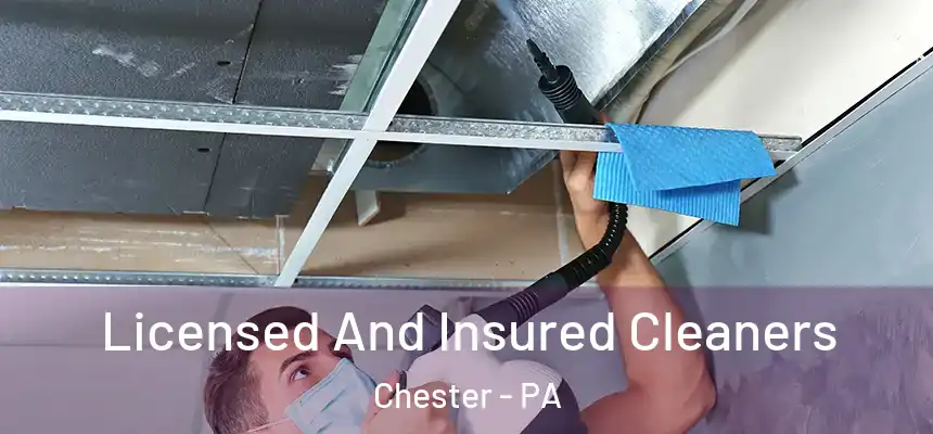  Licensed And Insured Cleaners Chester - PA