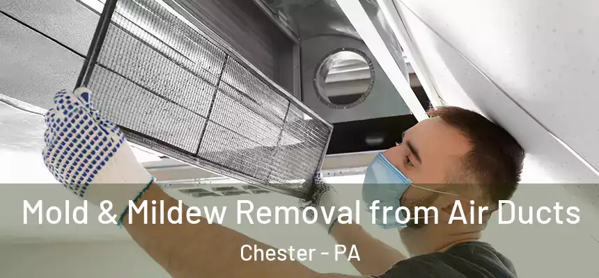  Mold & Mildew Removal from Air Ducts Chester - PA