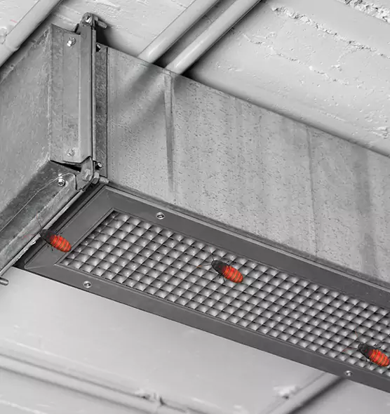 About Air Duct Cockroach Removal in Chester, PA