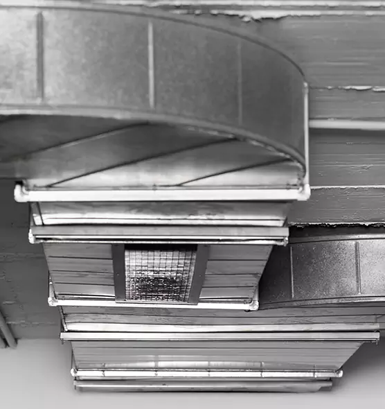 Professional Air Duct Pet Hair Removal in Chester, PA