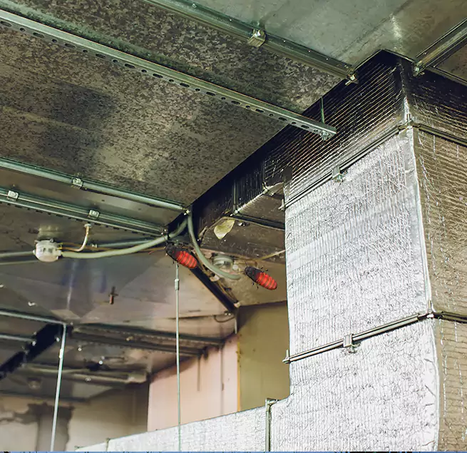 Why Homeowners & Businesses Trust Us in Chester, PA?